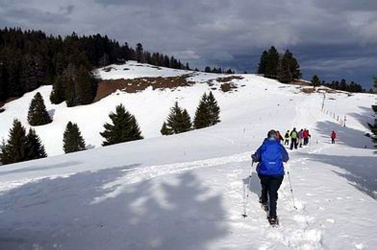 Autour de la cabane Rochefort (Suisse)