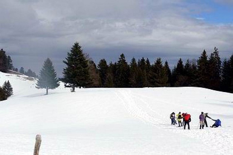 Autour de la cabane Rochefort (Suisse)