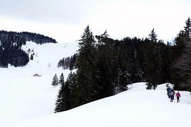 Gîte le grenier des Rousses (France) à la cabane Rochefort (Suisse)