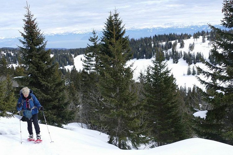 Gîte le grenier des Rousses (France) à la cabane Rochefort (Suisse)