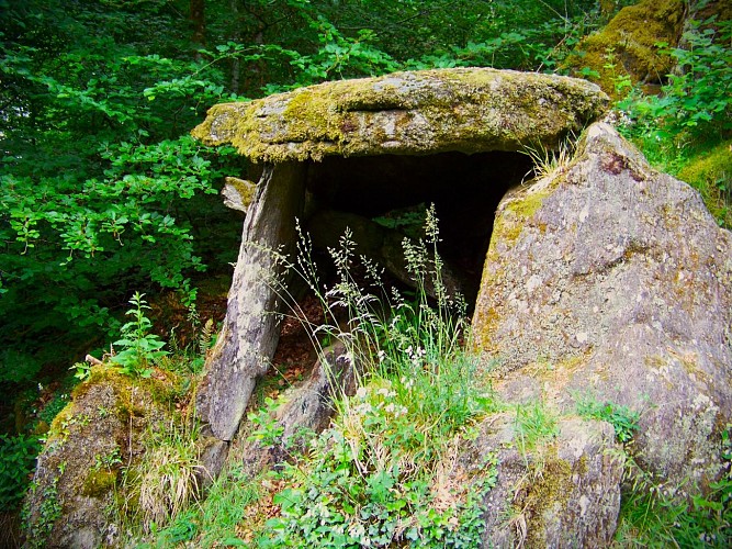 Dolmen Espartignac - Puy Chammard -Uzerche 