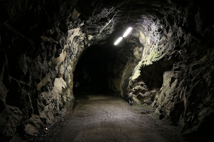Viaduc des Rochers Noirs - mai 2021 - @OTC HC Jérémy Truant - ComEx (20)