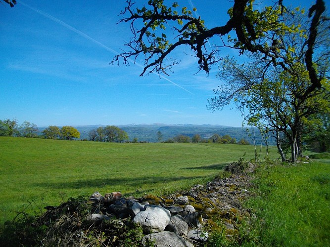 POIs4_Bort_Tour_Orgues_auteur_G_Salat