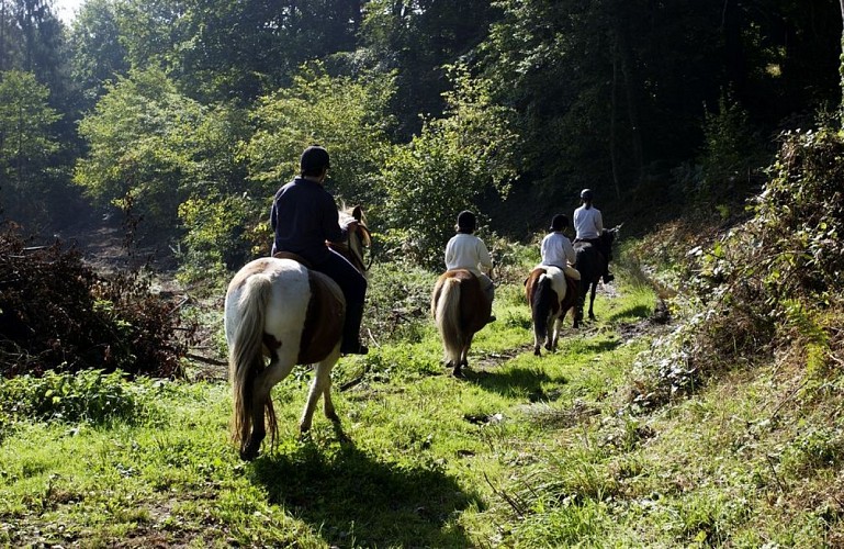 Le Circuit des Tourbières