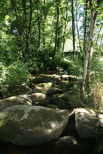 Vallée de la Gartempe Boucle Locale 2