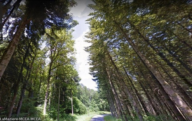 Circuit de randonnée : Au Pays des " Bons Hommes" - Mazière aux Bonshommes