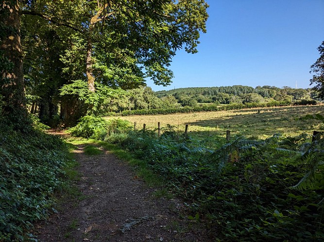 chemin du bois du breuil