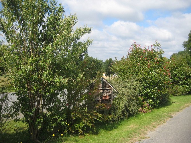 st cyr fleurs 3 M.Gourbat