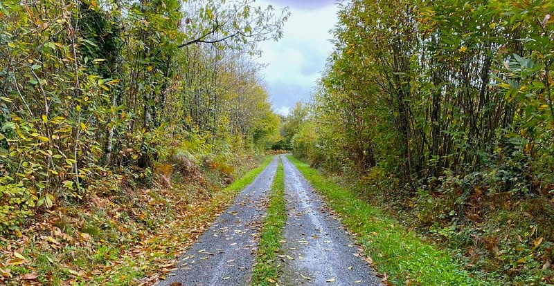 LANOUAILLE-Boucle du Puy-Chemin