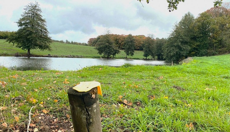 LANOUAILLE-Boucle du Puy-Paysage
