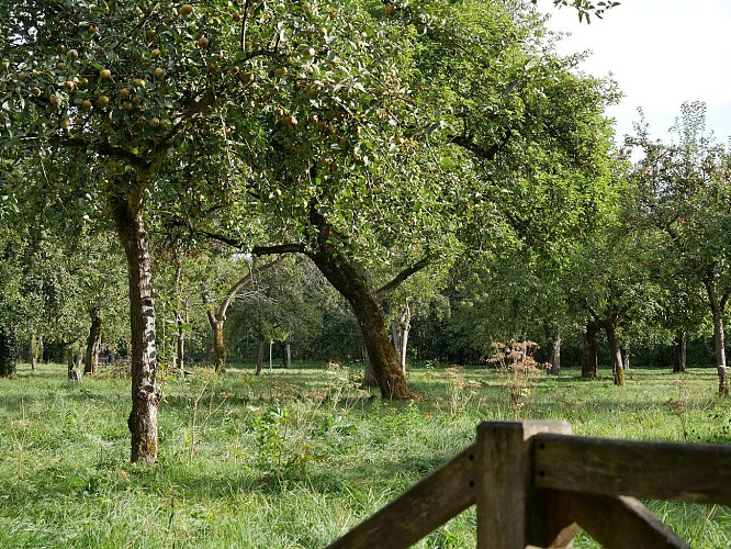 Liessies - De l'Helpe à Bois l'Abbé