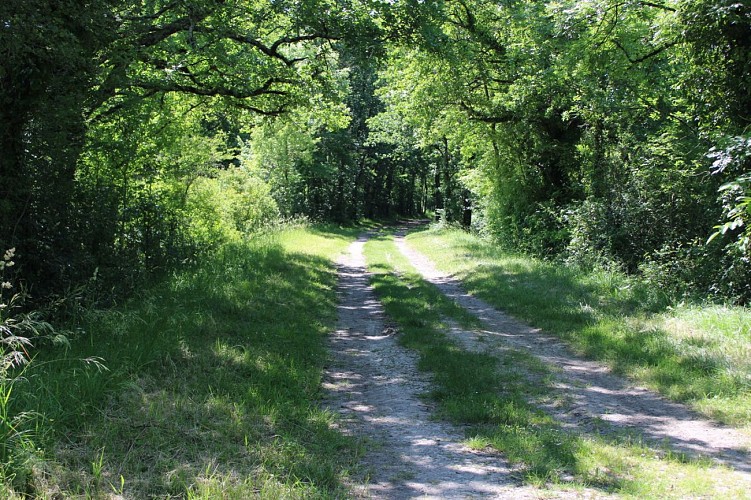 Ribérac Sentier PDIPR 2