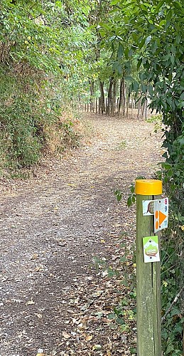 RIBERAC-Boucle de Ribérac-Chemin-Poteau
