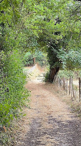 RIBERAC-Boucle de Ribérac-Chemin 2