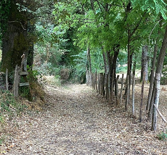 RIBERAC-Boucle de Ribérac-Chemin