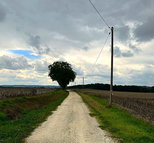 COMBERANCHE-ET-EPELUCHE-Boucle de Comberanche-Chemin 2