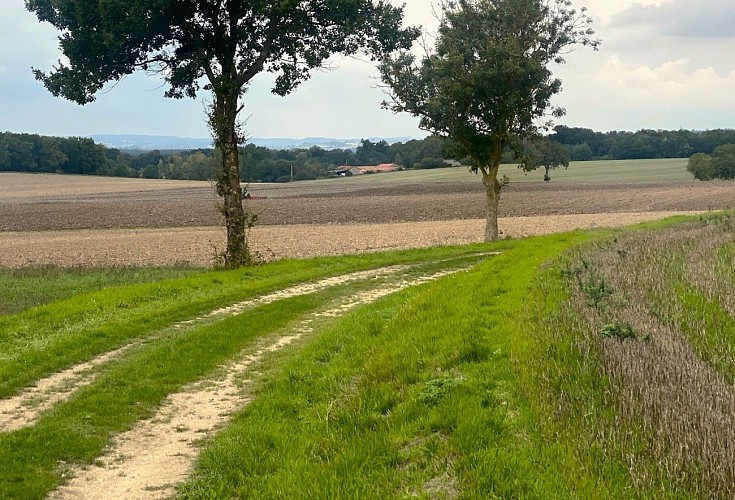 COMBERANCHE-ET-EPELUCHE-Boucle de Comberanche-Chemin