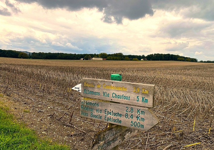 COMBERANCHE-ET-EPELUCHE-Boucle de Comberanche-Signalétique 3