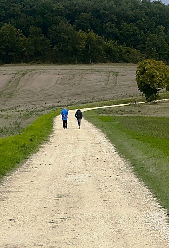 COMBERANCHE-ET-EPELUCHE-Boucle de Comberanche-Chemin-Randonneurs