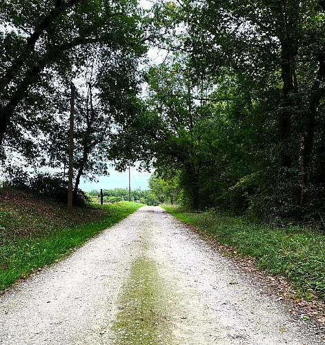 COMBERANCHE-ET-EPELUCHE-Boucle d'Epeluche-Chemin