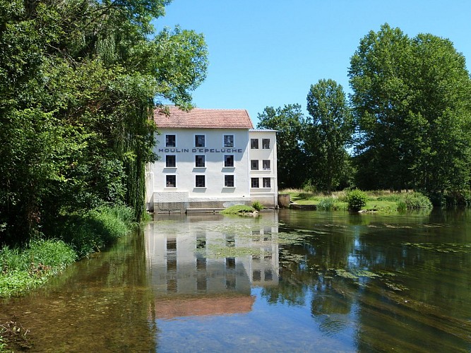 Moulin Epeluche