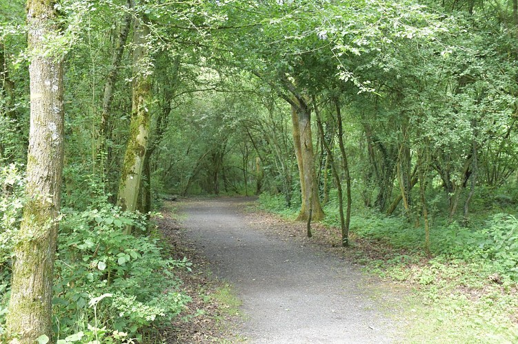 Vieux-Mesnil Le sentier des cours d'Ay et des Choats