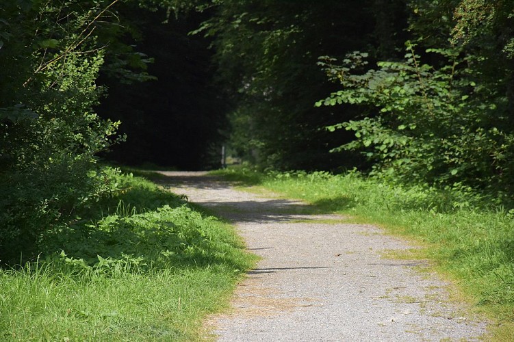 Vieux-Mesnil Le sentier des cours d'Ay et des Choats