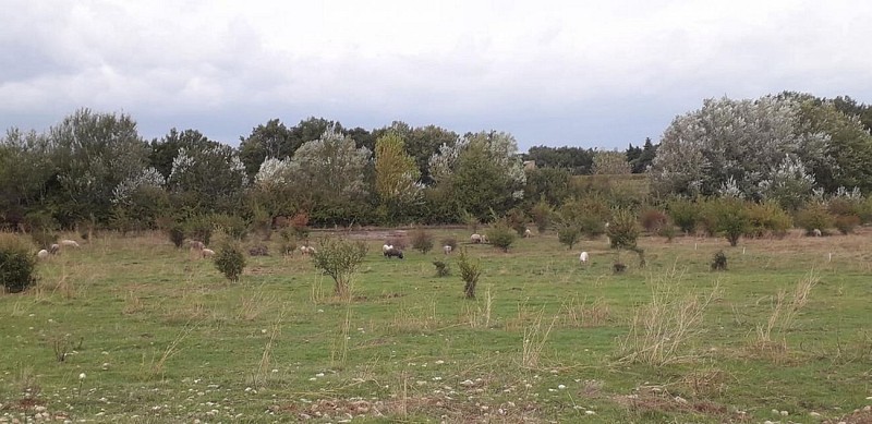 R10 A la découverte de la campagne Grillonaise_Grillon