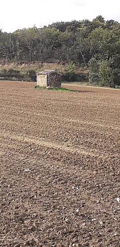 R10 A la découverte de la campagne Grillonaise_Grillon