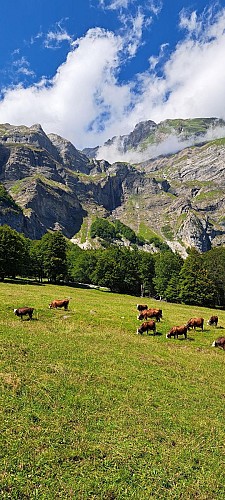 Pierre Fendue depuis le Cochenet - sentier pédestre_Cordon