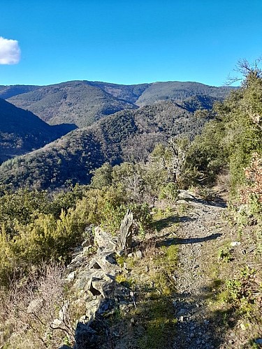 Boucle de Citou - VTT