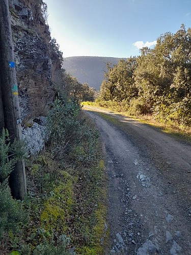 Boucle de Citou - VTT