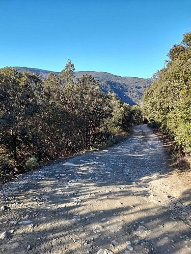 Boucle de Citou - VTT