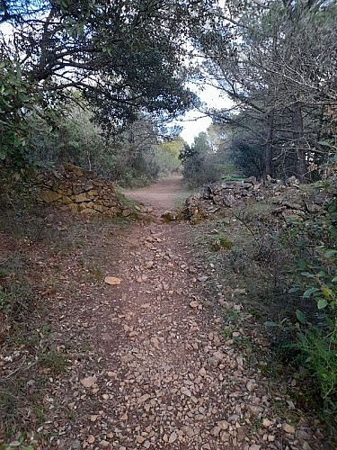 Boucle de Citou - VTT