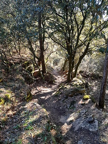 Boucle de Citou - VTT