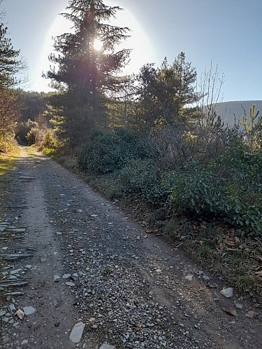 Boucle de Citou - VTT