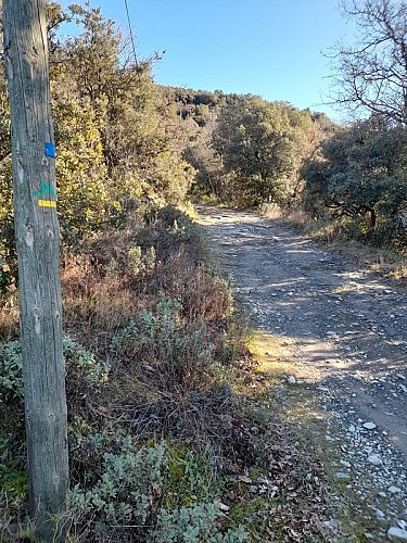 Boucle de Citou - VTT