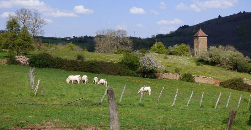 donzy-le-pertuis-pah-entre-cluny-et-tournus-cluny-sud-bourgogne(2)