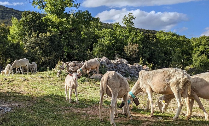 aux lavagnes @ Gilles Delerue