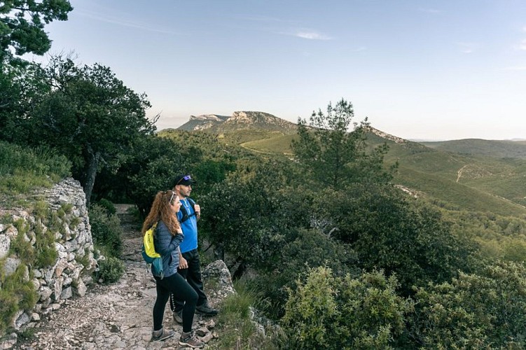 Montée à l'ermitage