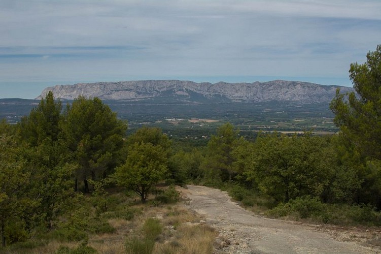 La Sainte-Victoire et la plaine de l'Arc
