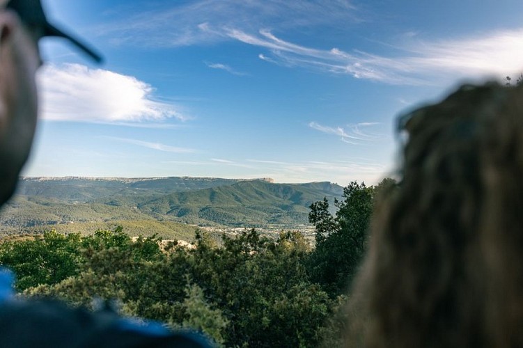 Vue sur la Sainte-Baume depuis l'Ermitage