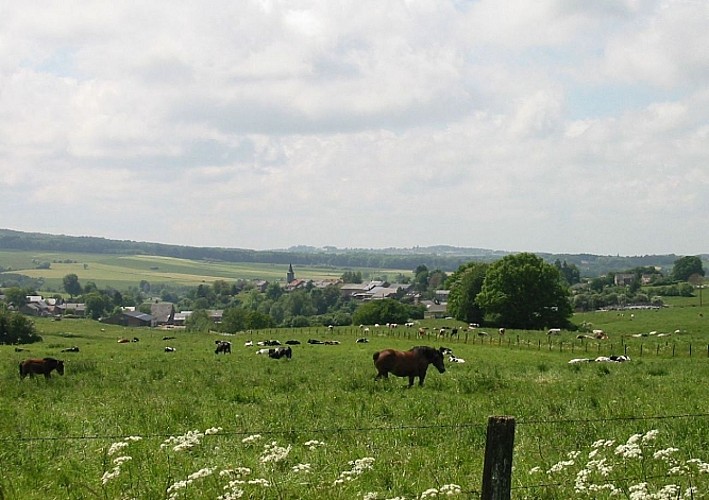 Bande, village de caractère (balade-découverte)