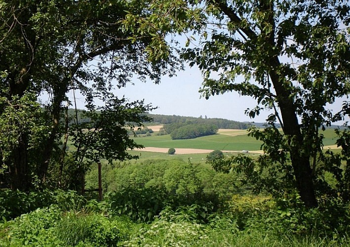 Bande, village de caractère (balade-découverte)