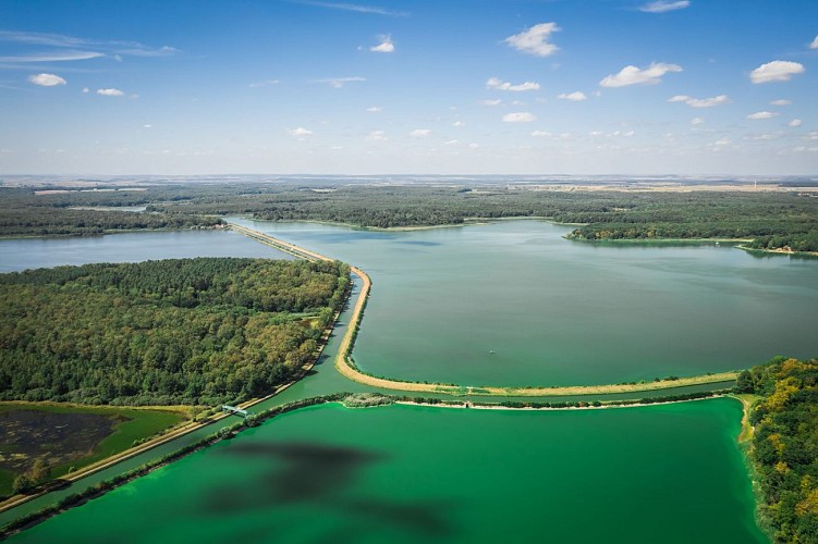 Etang de Gondrexange