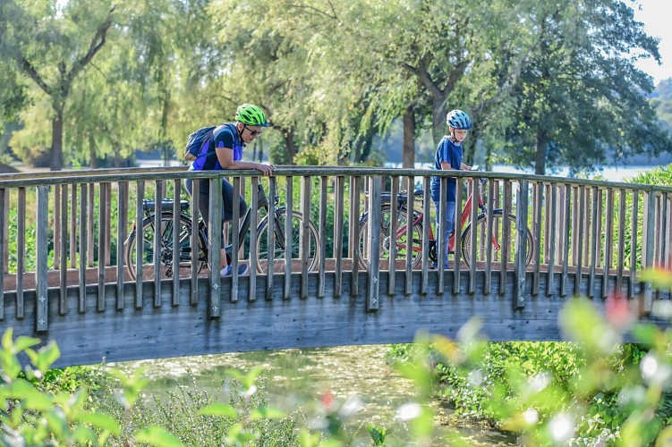 Etang Lévêque à Sarrebourg