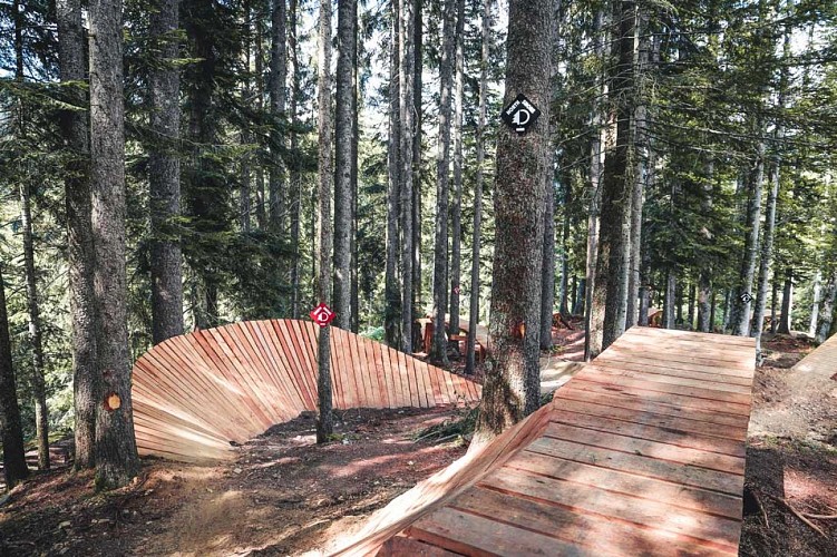 Descente de La Ferriaz - Piste VTT Descente N°24