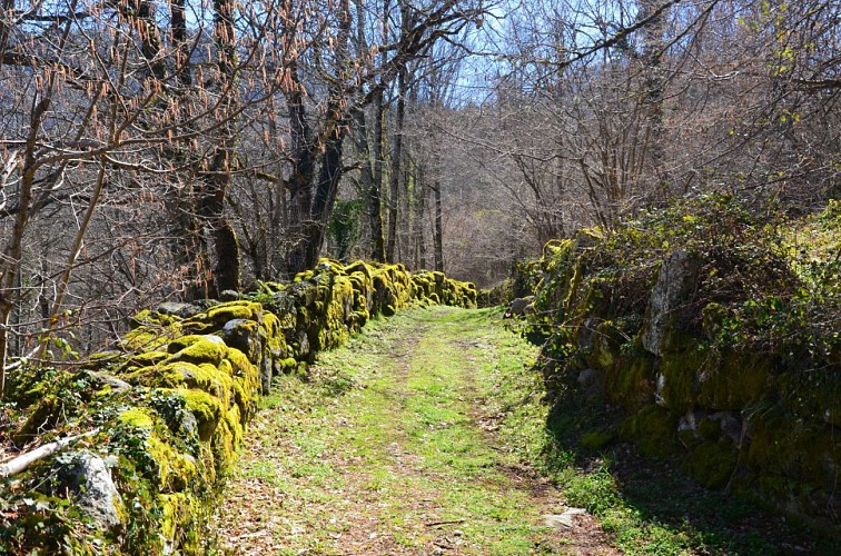 Un chemin large et pavé
