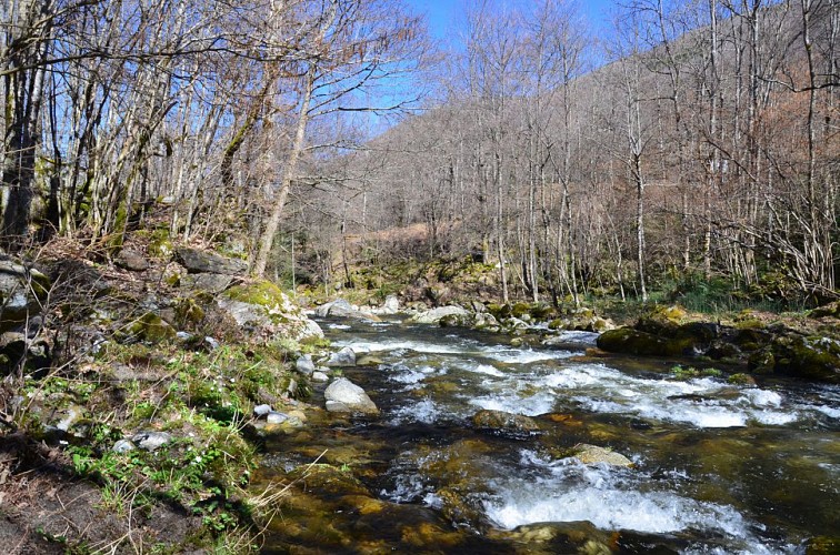 Les vestiges des piles du pont