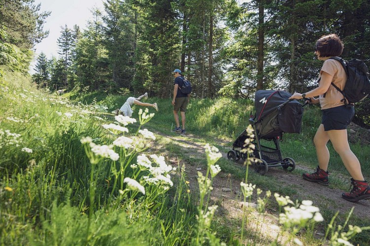 Rundgang für Kinderwagen - Lac Blanc Les Immerlins